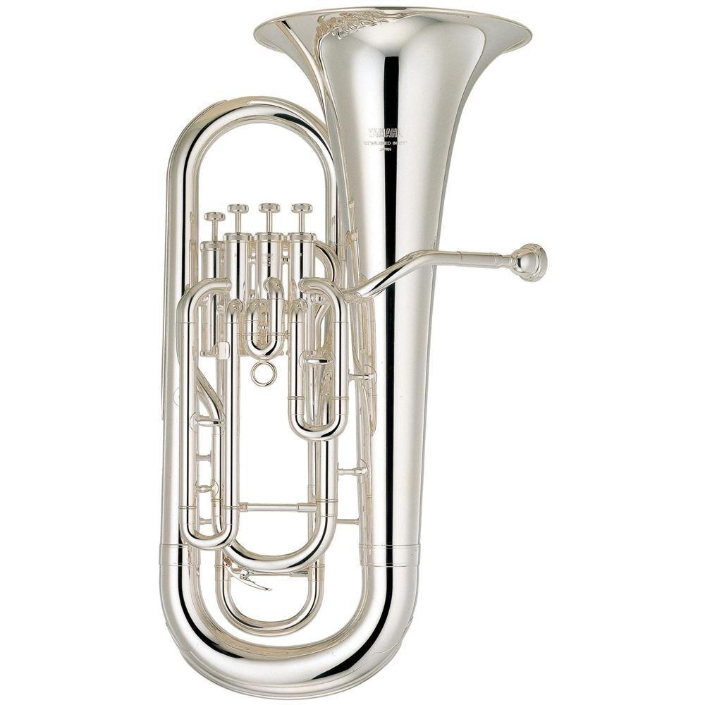 Tuba oder auch Bass - tiefstes Instrument in der Brass Band